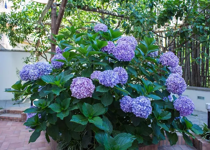 Pensionat Relais Del Corso 3*